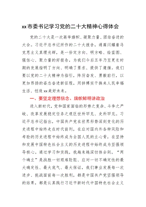 XX市委书记学习党的二十大精神心得体会.docx