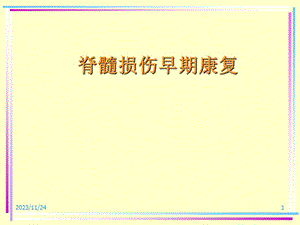 脊髓损伤早期康复.ppt