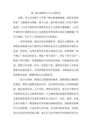 机关事业单位党员干部学习第二批主题教育心得体会 汇编5份.docx