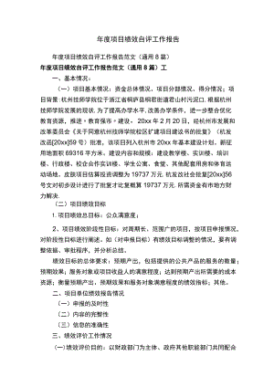 年度项目绩效自评工作报告.docx
