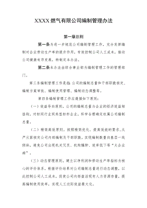 燃气有限公司编制管理办法.docx