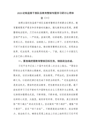 2023年纪检监察干部教育整顿心得体会3篇汇编.docx