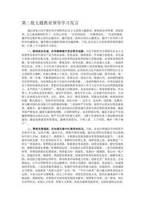 第二批主题教育领导学习发言.docx