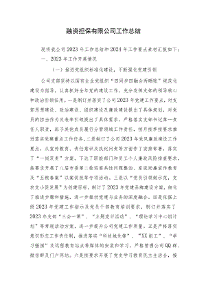 担保公司工作总结.docx