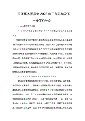 民族事务委员会2023年工作总结及下一步工作计划.docx