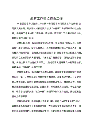某县委巡察办2023年度巡察工作亮点特色工作汇报.docx