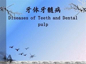 牙体牙髓病.ppt
