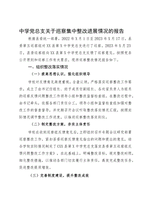 中学党总支关于巡察集中整改进展情况的报告.docx