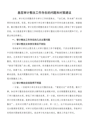 基层审计整改工作存在的问题和对策建议.docx