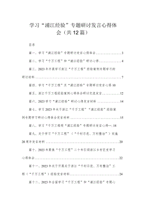 学习“浦江经验”专题研讨发言心得体会（共12篇）.docx
