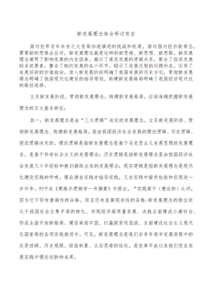 新发展理念体会研讨发言.docx