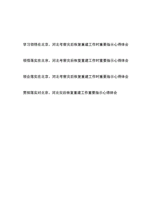 学习领悟落实在北京、河北考察灾后恢复重建工作时重要指示心得体会4篇.docx