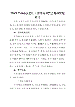 山西《2023年冬小麦防旺长防冻害保安全越冬管理意见》.docx