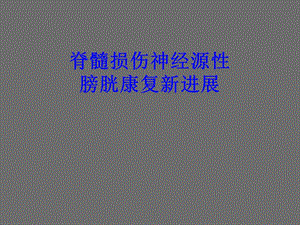 间歇导尿.ppt.ppt