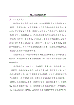 员工实习报告范文.docx