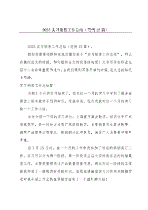 2023实习销售工作总结(范例12篇).docx