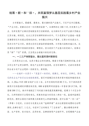 统筹“新”和“旧”共筑富强梦 从基层实践看乡村产业振兴.docx