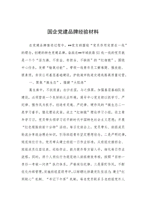 国企党建品牌经验材料.docx