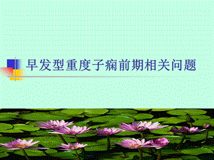 早发型重度子痫前期.ppt.ppt