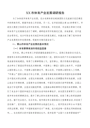 XX市体育产业发展调研报告.docx