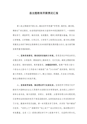 县主题教育开展情况汇报.docx