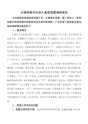 乡镇党委书记深入基层党建调研报告.docx