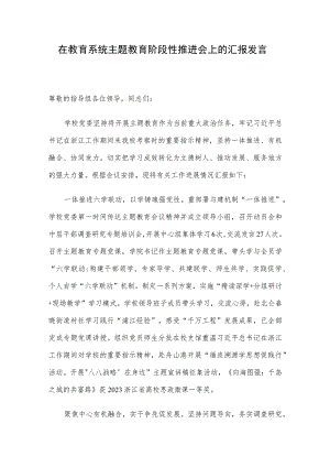 在教育系统主题教育阶段性推进会上的汇报发言.docx