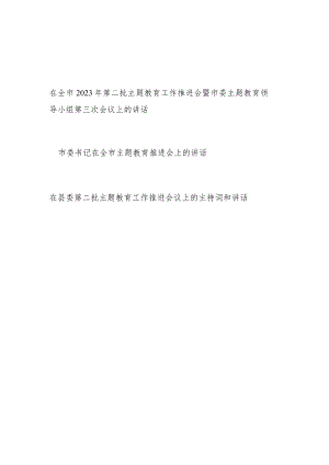 在全市县2023年第二批“学思想、强党性、重实践、建新功”主题工作推进会上的讲话发言2篇.docx