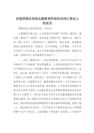 在主题教育阶段性总结推进会上的汇报发言（精选两篇合辑）.docx