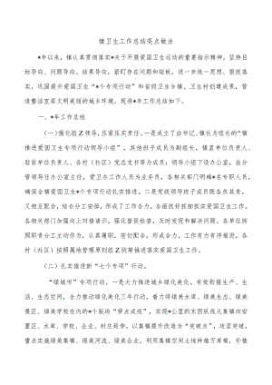 镇卫生工作总结亮点做法.docx