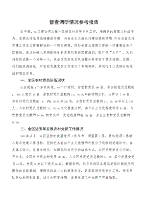 督查调研情况参考报告.docx