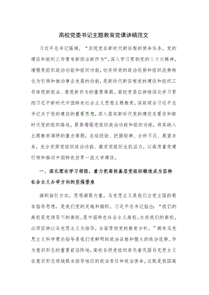 高校党委书记主题教育党课讲稿范文.docx