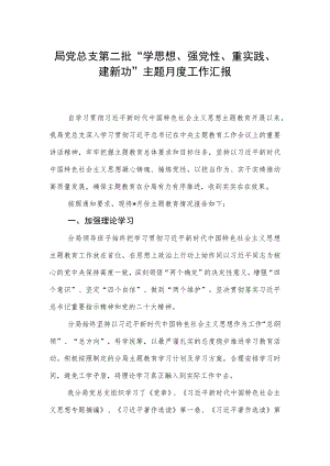 局党总支第二批“学思想、强党性、重实践、建新功”主题月度工作汇报.docx