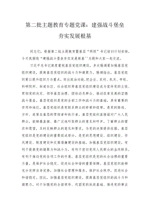 第二批主题教育专题党课：建强战斗堡垒夯实发展根基.docx