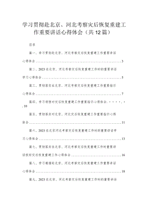 （12篇）学习贯彻赴北京、河北考察灾后恢复重建工作重要讲话心得体会供参考.docx