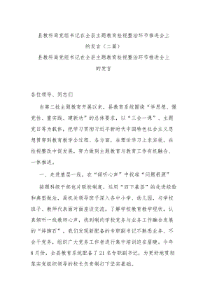 县教科局党组书记在全县主题教育检视整治环节推进会上的发言(二篇).docx