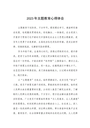 村干部2023年第二批主题教育心得体会五篇.docx