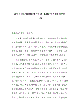 在全市党建引领基层社会治理工作推进会上的汇报发言2023.docx