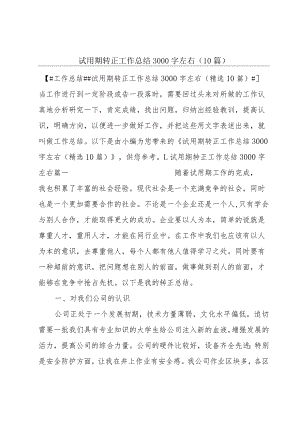 试用期转正工作总结3000字左右（10篇）.docx
