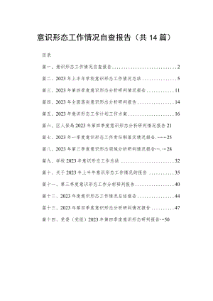 意识形态工作情况自查报告14篇（精编版）.docx