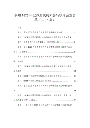 参加2023年世界互联网大会乌镇峰会发言稿15篇供参考.docx