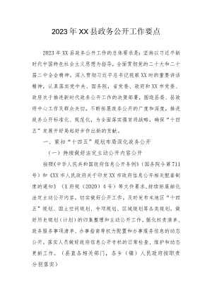 2023年XX县政务公开工作要点.docx