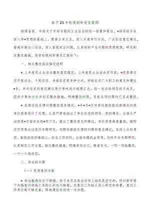 班子23年检视剖析发言提纲.docx