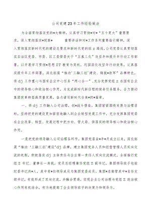 公司党建23年工作经验做法.docx