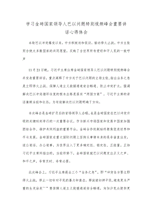 学习金砖国家领导人巴以问题特别视频峰会重要讲话心得体会.docx