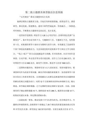 第二批主题教育典型做法信息简报.docx