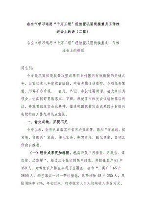 在全市学习运用“千万工程”经验暨巩固衔接重点工作推进会上的讲(二篇).docx