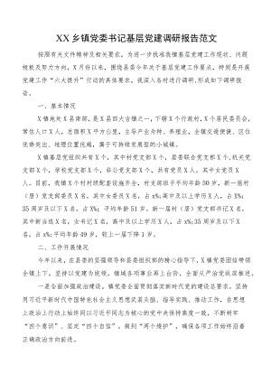 XX乡镇党委书记基层党建调研报告范文.docx
