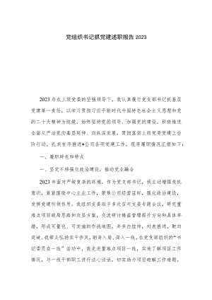 党组织书记抓党建述职报告2023.docx