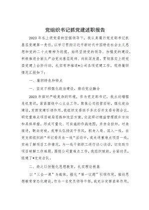 党组织书记抓党建述职报告.docx